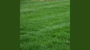 Bob's Lawn Care