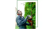Lawn & Landscape Management