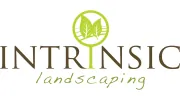 Intrinsic Landscaping