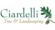 Ciardelli Tree & Landscaping