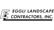 Eggli Landscape