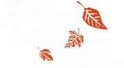 Falling Leaves Lawn Care