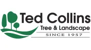 Ted Collins Tree & Landscape
