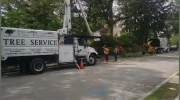 New England Tree Preservation