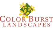 Color Burst Landscapes