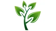 Accent Lawn Care & Landscaping