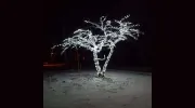 Coastal Irrigation & Lighting