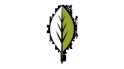 Cumberland Valley Tree Service & Landscaping