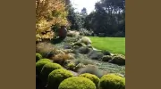 Terra Bella Landscaping
