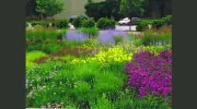 Plan It Green Landscape Architecture