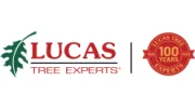 Lucas Tree Experts