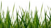 Bernardin's Landscaping