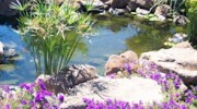 New Nature Landscapes