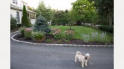 Bellflower Landscaping