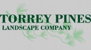 Torrey Pines Landscape