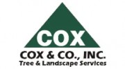 Cox and Company