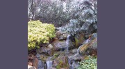 Turiace Landscaping