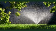 Master Landscape & Maintenance
