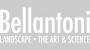 Bellantoni Landscape