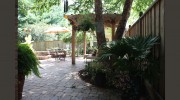 Gecko Landscape Creations