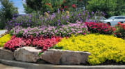 Let Us Love Your Lawn