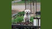 Aspen Valley Landscaping