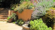Planet Horticulture