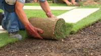 Landscape Installation