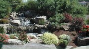B Johnson Turf Irrigation