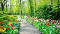 Garden Design & Installation