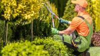 Landscape Maintenance