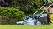 Arbor Landscaping