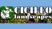 A Cicileo Landscapes