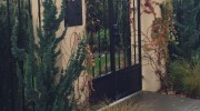 Silverleaf Landscape