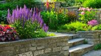 Patios, Walks & Walls