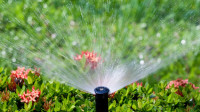 Irrigation