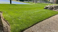 Lawn Aeration and Overseeding