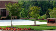 Denver Landscape Service
