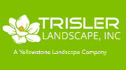 Trisler Landscape