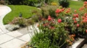 Cyprex Construction Landscapes