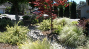 Bluestar Landscape Designers