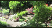 Susan Silva Landscape Design