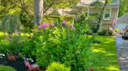 Mission Landscape Service