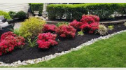 Dynamic Landscaping & Lawn Mtc
