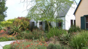 Cornell & Associates Landscaping