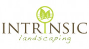 Intrinsic Landscaping