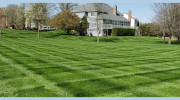 Buddy Rodgers Son Pro Lawn Services