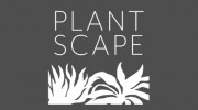 Plantscape