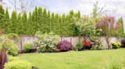 Backyard Connection - Landscaping & Pest Control