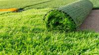 Artificial Grass